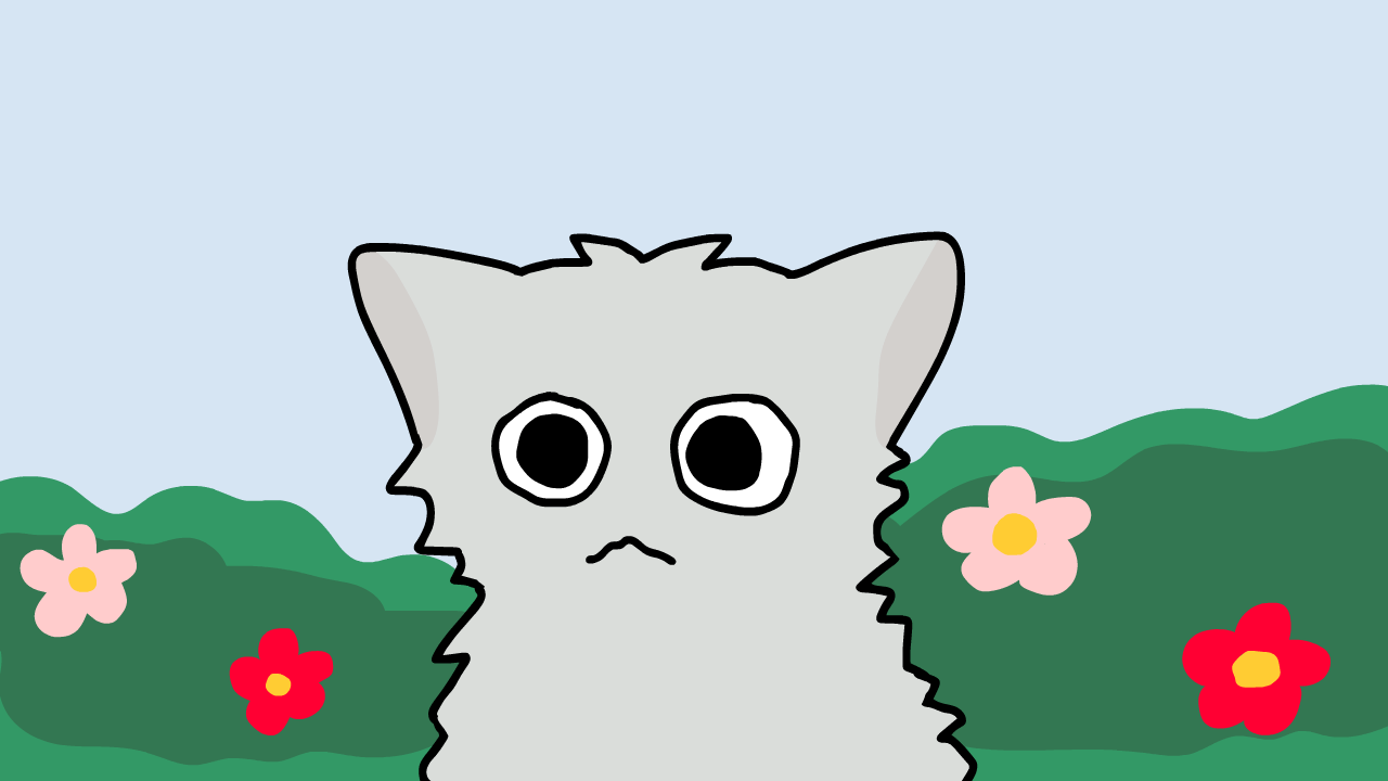 Cat Animation -1
