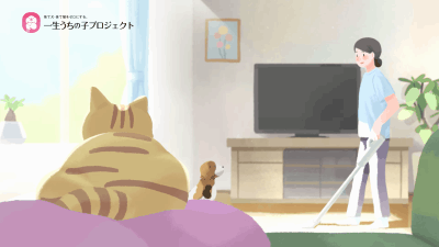 沖縄県一生うちの子プロジェクトTVCM「マイクロチップ篇」-1