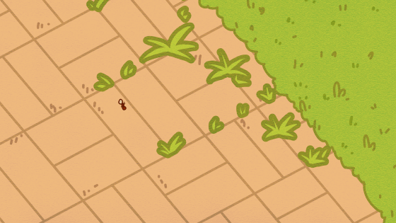 引っ越ししてるアリ-1