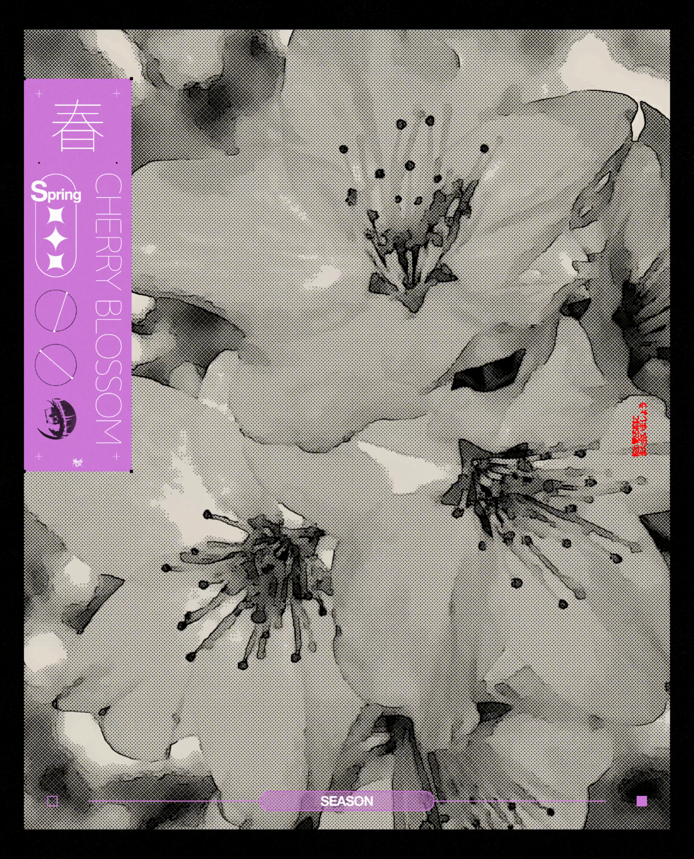The Season Collections-1