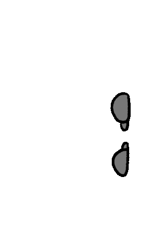 GIF animation-1