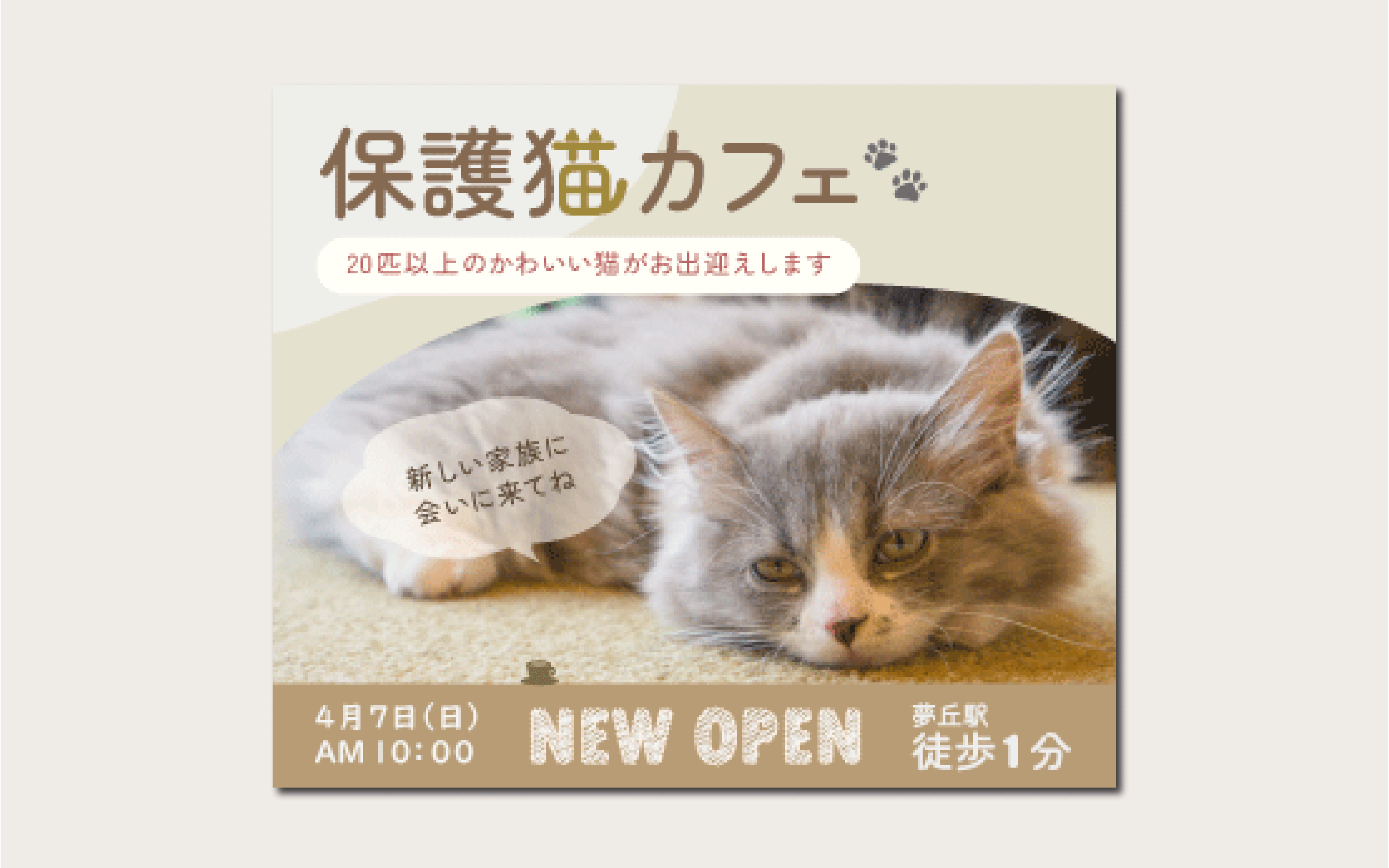 保護猫カフェ　バナー-1