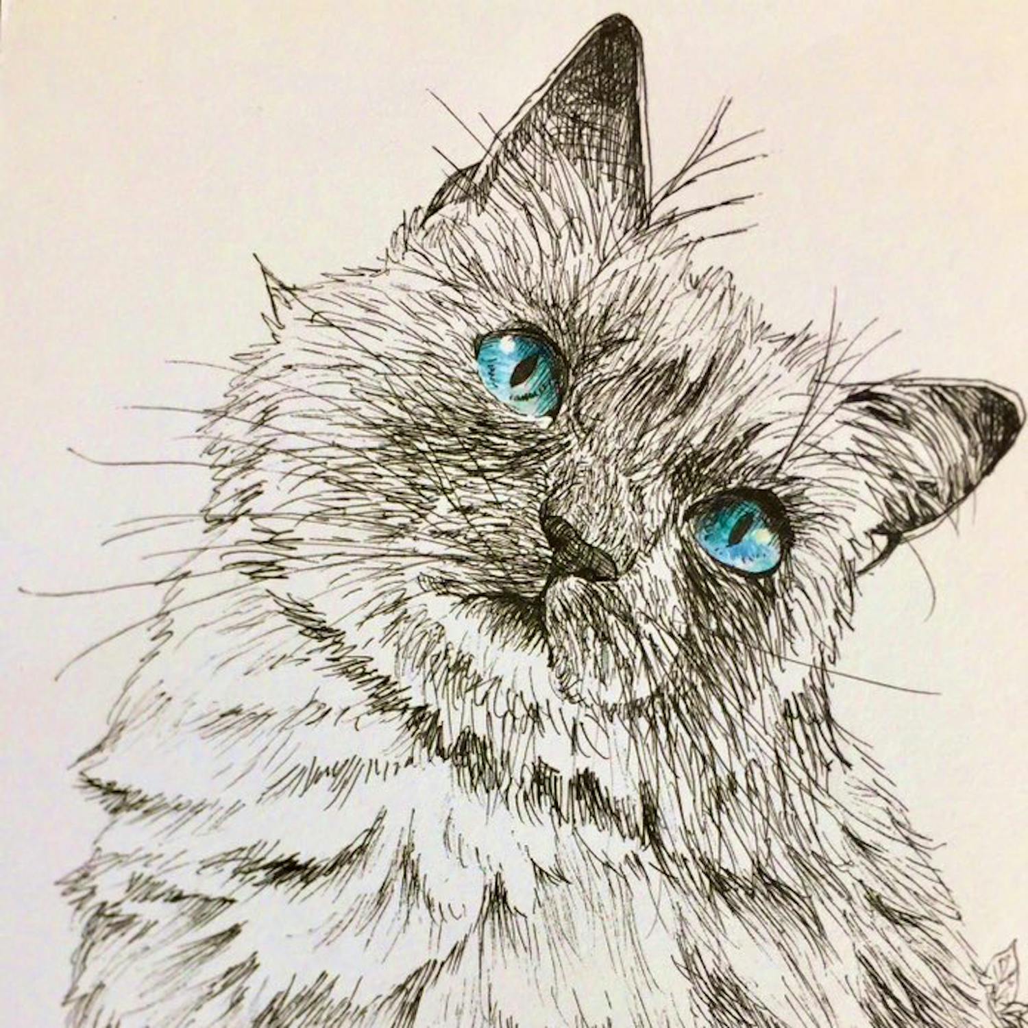 ひなねこ - foriio