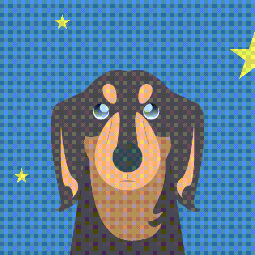 ぱちぱち★まばたきするダックス-1