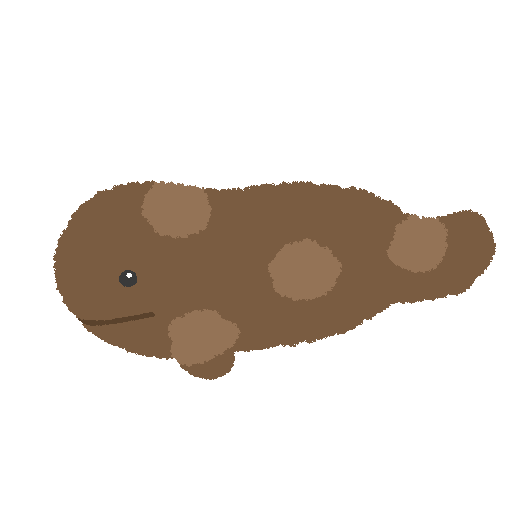 オオサンショウウオ-1
