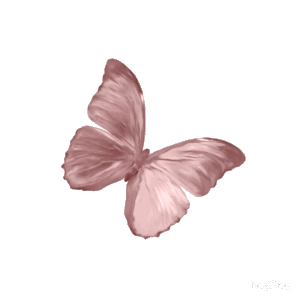 90D69459 DF3C 4499 B598 72179714770A-1