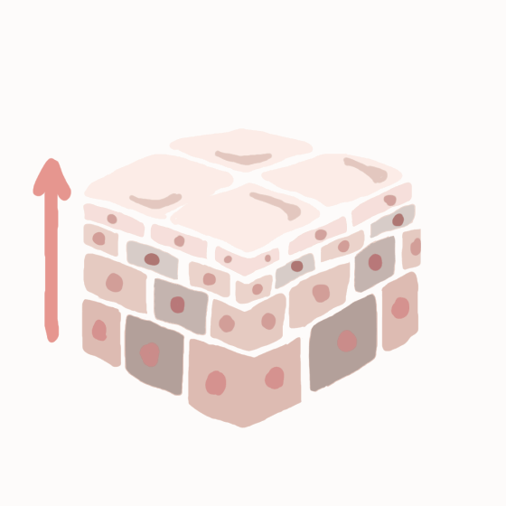 GIFアニメーション-1