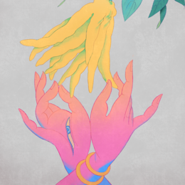 Avatar