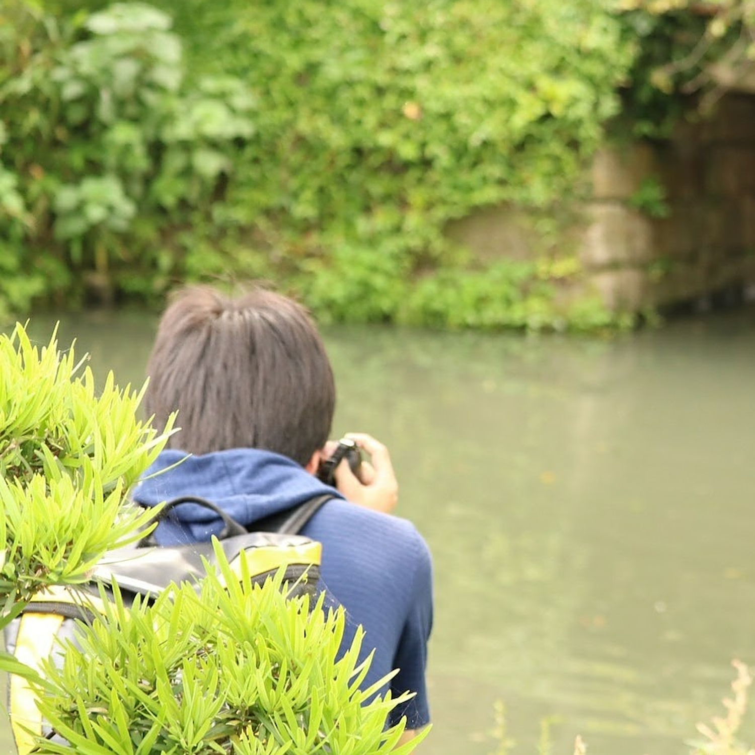 斜陽 #CanonEOS5D#佐賀県#唐津市#呼子町#呼子大橋#風景#夕方#夕日