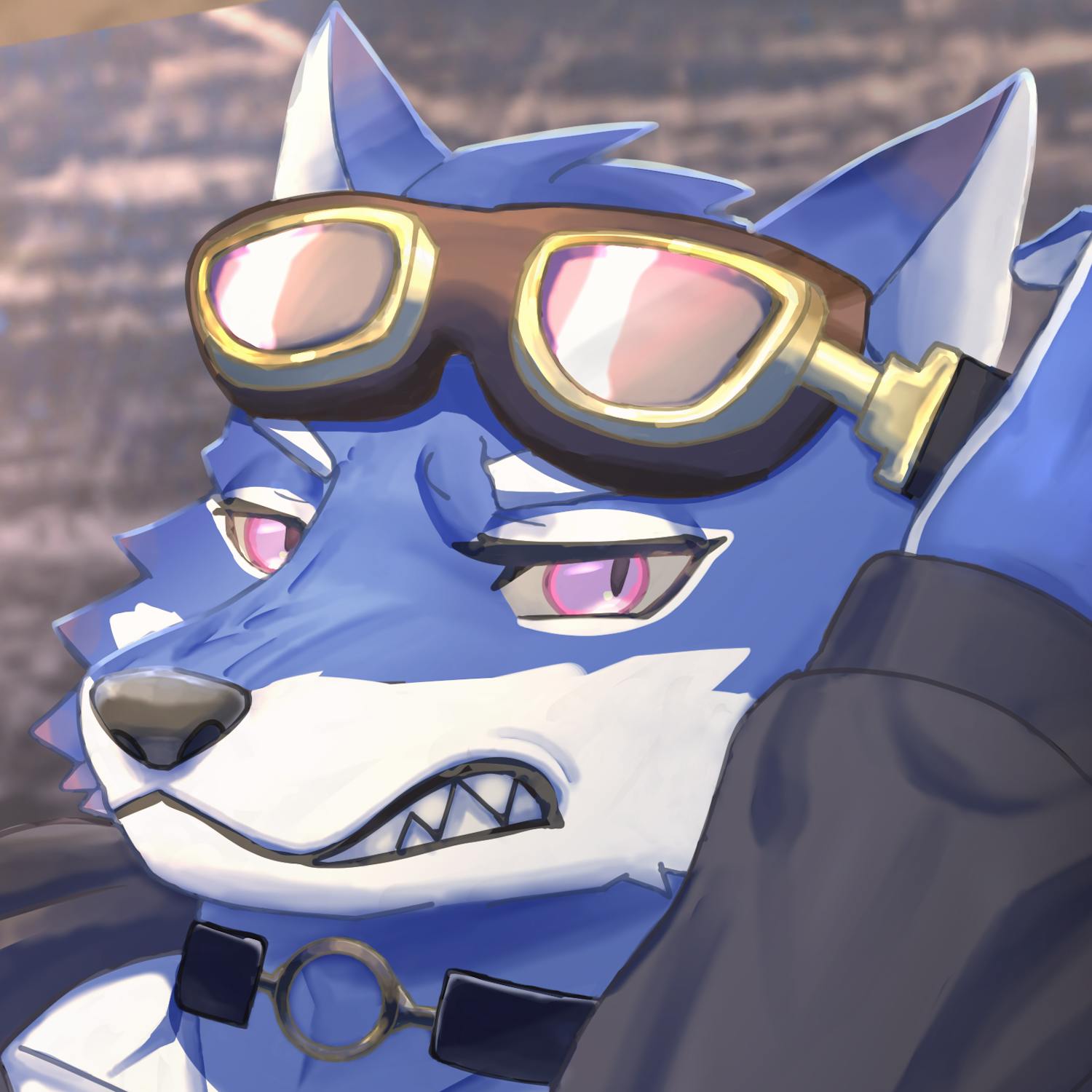 ゾロア