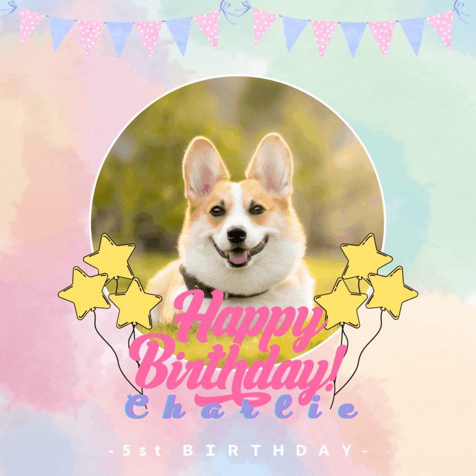Instagram用広告 大切なペットの誕生日-1