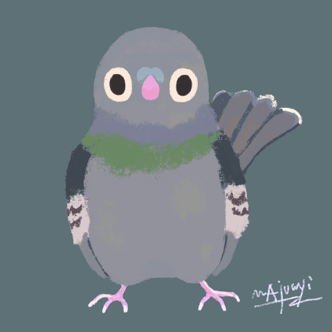 物を穿つ系鳩：ポポ君-1