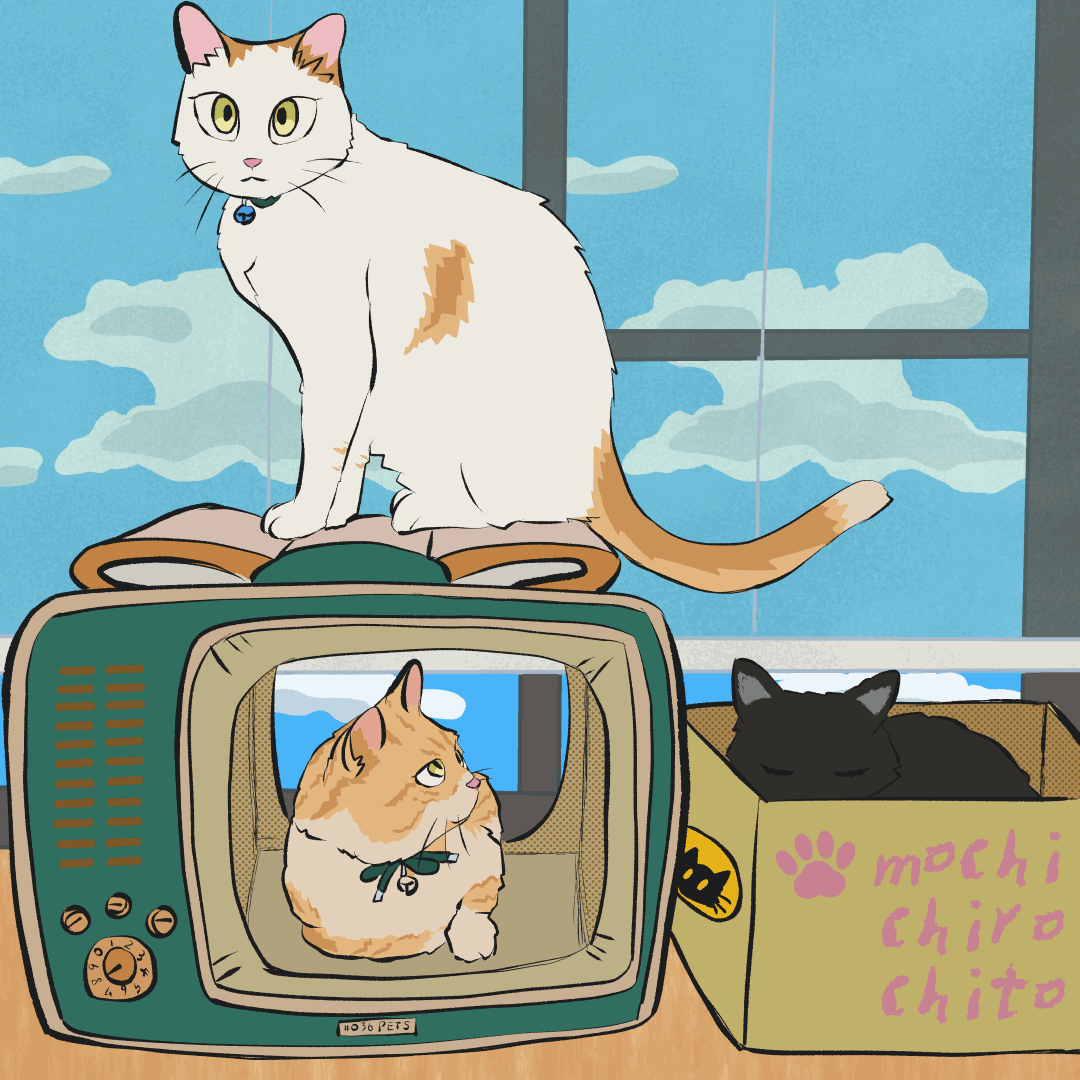 cat-1